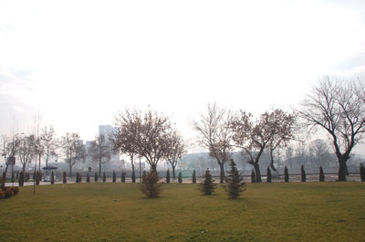 Vecerna.Ksenija.jpg