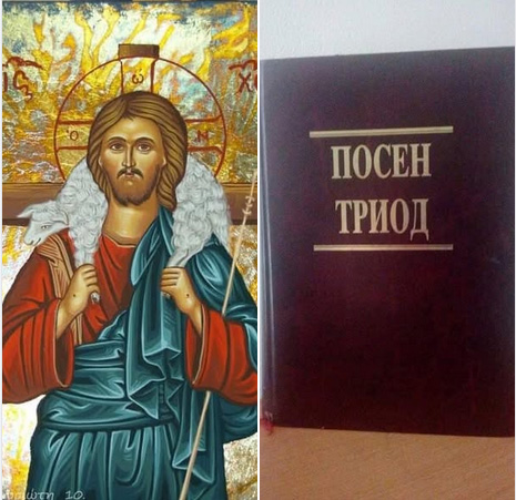 TviTER781.Posen.Triod